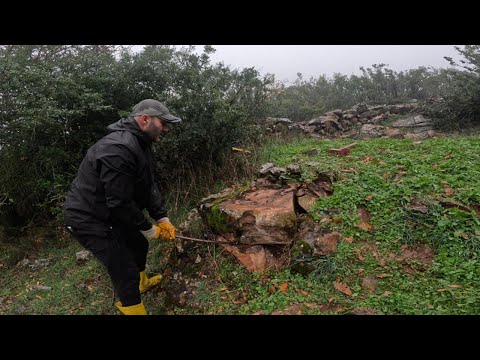 İpek Yolundaki Yığma Kasadan Çıkan Define Paha Biçilemez