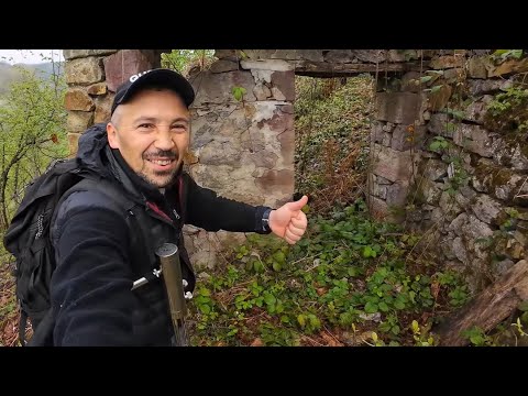 Ormanın Derinliklerinde Gizli Hazineleri Keşfetmek