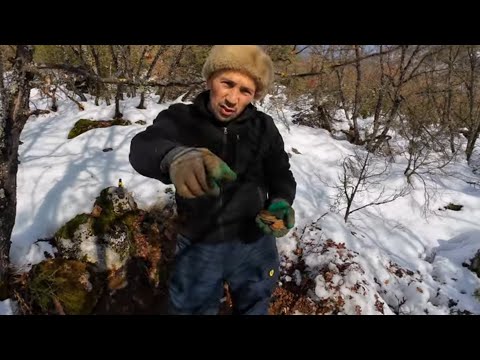Karların Altındaki İlginç Define Bizi Şaşkına Çevirdi