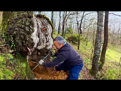 Define Kasası Ağaç Altına Gizlenmiş Hazineyi Bulduk