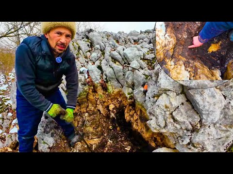 Tarihi Define Kazısında Çıkan Beklenmedik Hazine