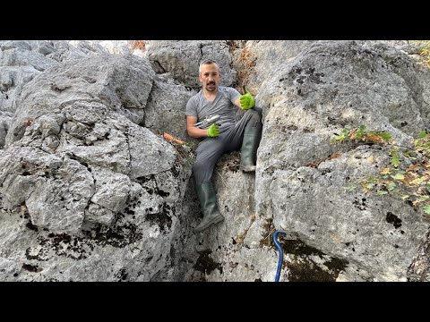 Eski Rum Dönemi Hazine Kasası Açıyorum