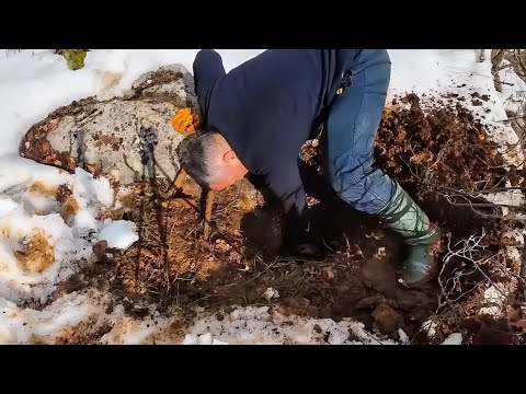  Define İşaretli Kaya Altında Şaşırtıcı Keşif