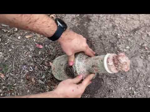 We Found 5 Great Treasures With Professional Metal Detectors! Top 5 Treasure Hunting
