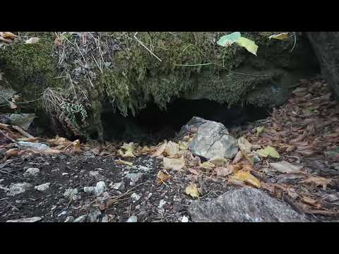 TEHLİKELİ MAĞARADA ALTIN HEYKEL BULUNDU