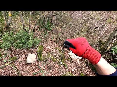 Define Oturan Deve işareti Ve Hazinesi, Eşkiya bölgesi, Define Bulma Anı, Treasure Find Moment #13