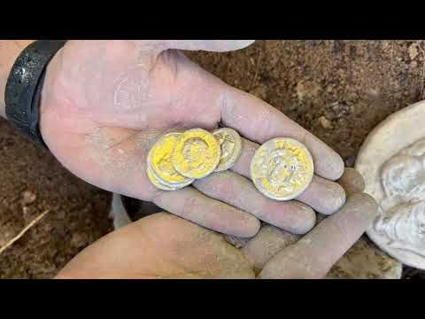 We Found Treasure In The Jungle With The Gold Stinger X5 Metal Detector