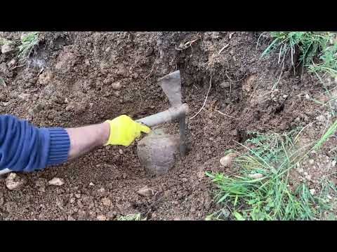 Treasure Hunting With Metal Detector! We Found Treasure With Gold Vision Metal Detector