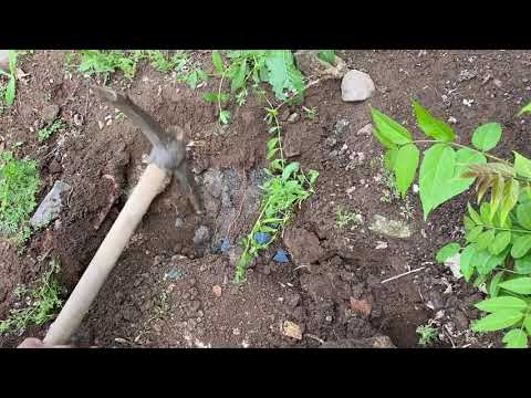 WE FOUND REAL TREASURE / MOST EPIC TREASURE HUNT EVER