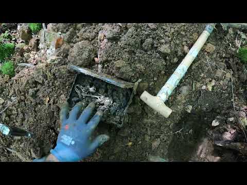 DEFİNE BULDUM AĞACIN ALTINDA  !! HAZİNE AVI | TREASURE HUNTER |