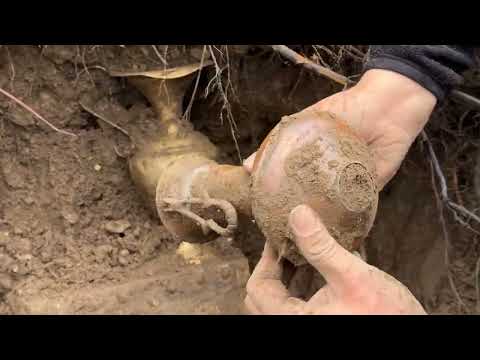 We Found The Treasure That Will Shock The World [ Treasure Hunt With a Metal Detector ]