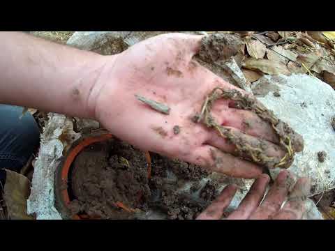 FIND THE TREASURE - TREASURE HUNT