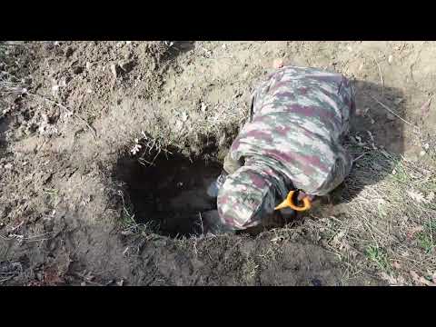 We Discovered Treasures That Amazed the World [ Treasure Hunt With a Metal Detector ]