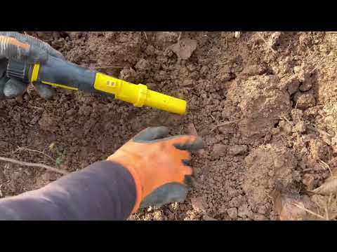 We Found a Treasure Chest. / Treasure Hunt with the Gold Stinger X5 Metal Detector