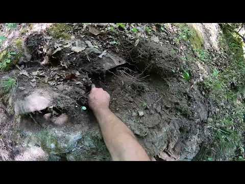 Define İçin Elimi Soktuğumda Altın Koç Başı Çıktı
