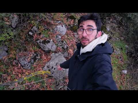  Tarihi Kalıntı Gizlenmiş Oyma Bize Defineyi Verdi