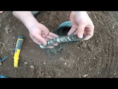 FOUND TREASURE CHEST WHİLE METAL DETECTİNG / TREASURE HUNT