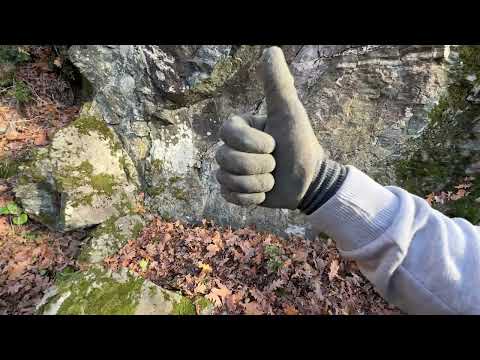 Ormanlık Alanda Şaşırtıcı Bir Haç