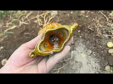 With the Gold Star 3D Metal Detector, We Discovered The Treasure