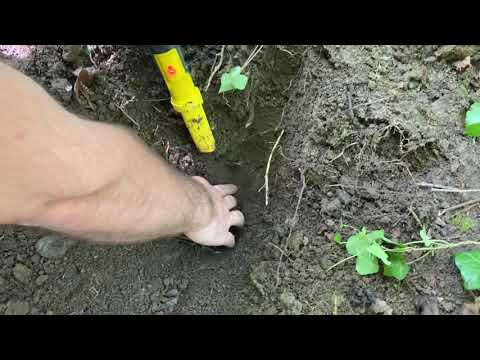 TREASURE FINDING MOMENT / METAL DETECTİNG
