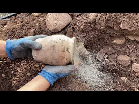 TREASURE HUNTİNG BY METAL DETECTOR / Treasure Find