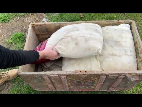 The 5 Biggest Treasures Discovered in 2025 [ Treasure Hunt With a Metal Detector ]