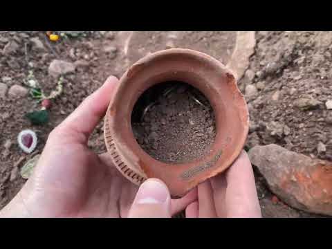 Real Treasure Hunt! We Found 2 Mysterious Treasures From Thousands Of Years Ago