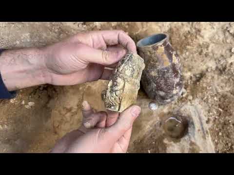 We Found Poisonous Treasures // 5 Poisonous Treasure Hunts with Metal Detector