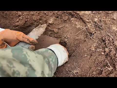 Tarih, Eski Yaşam İzleri ve Kalp İşareti: Bir Keşif Hikayesi