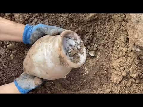 Top 10 Treasures Found By Chance With a Metal Detector. / Treasure Hunting