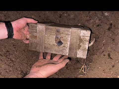 Treasure Hunt / We Found Treasure with Gold Star 3D Scanner