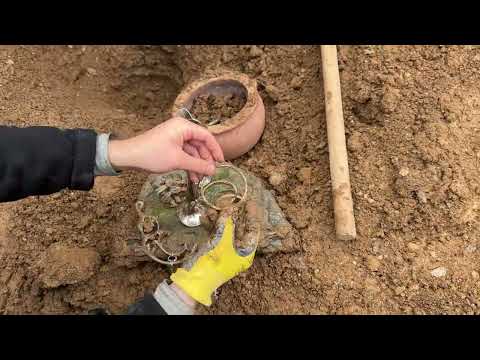 5 Remarkable Treasures Discovered with a Metal Detector! Top 5 Treasure Hunt