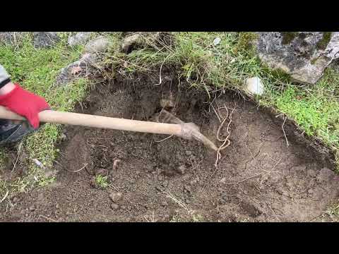 TREASURE HUNT. / TREASURE HUNTİNG BY GOLD STINGER X5 METAL DETECTOR