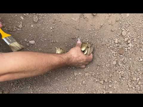 We found treasure under the mysterious stone. / Adventure filled treasure hunt
