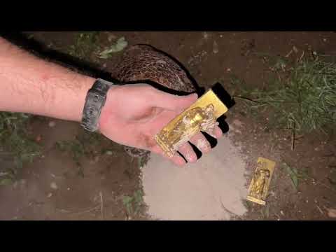 Treasure Find Moment // We Found Treasure Using Gold Star 3D Metal Detector