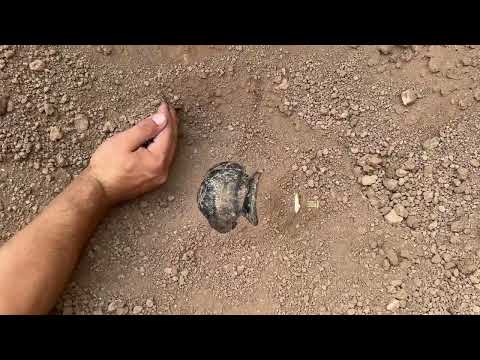 Binlerce Yıllık Büyük Bir Hazine Bulduk Hazine Avı