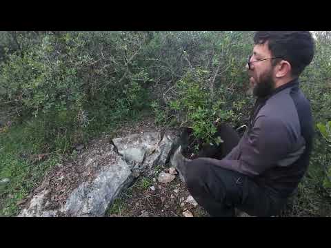 Çok Zengin Bir Mezarın Hediyeleri -PART 2-