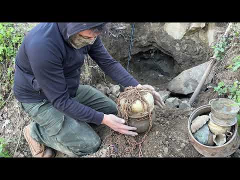 We Found Treasure With a Metal Detector What We Discovered Buried Shocked The Whole World