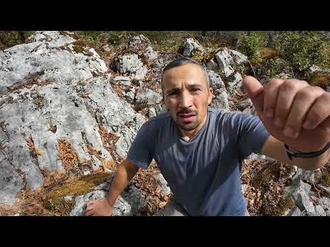 Define Avında Metal Dedektörü  Büyük Sır Ortaya Çıktı