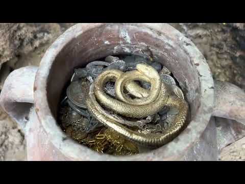 We Found Scary Magical Treasure With Metal Detector. / Treasure Hunting