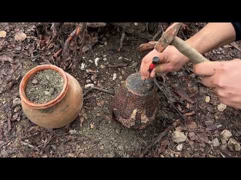 The Treasure That Will Change History Treasure Hunt with Gold Vision Metal Detector