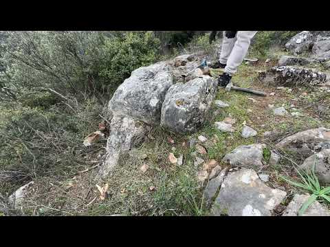 Define Kaya Kasasından Bulunan Aslan Heykeli