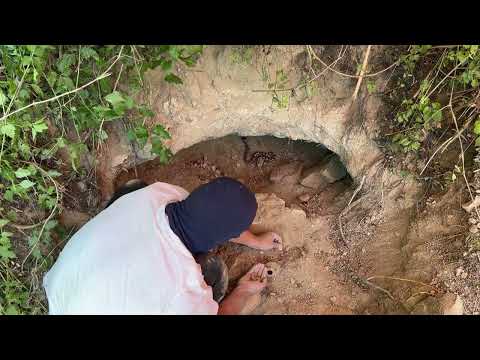 We Found The Treasure Guarded By a Poisonous Snake [ Treasure Hunt with a Metal Detector ]