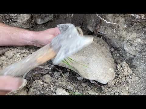 TREASURE FINDING MOMENT WITH METAL DETECTOR