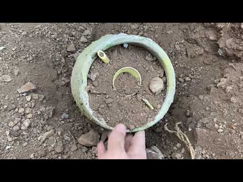 GREAT TREASURE HUNT / WE FOUND THE TREASURE