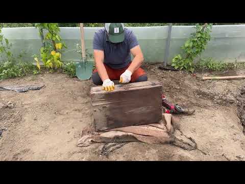 We Found Abandoned Chained Chests In The Swamp [Treasure Hunt With Metal Detector]