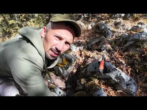 Gizemli Ormanda  Define Avı  Para Dolu Küpü Buldum