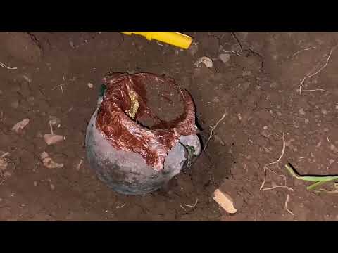 10 Big Treasures Found In 2022. / Treasure Hunt
