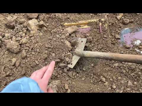 We Found $10 Million With A Metal Detector ( Big Treasure Hunt )