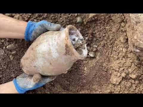 Three Great Treasures Found With A Metal Detector / Treasure Hunt